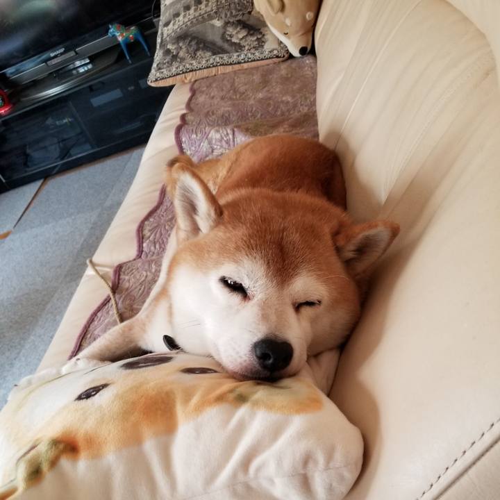 9838ec4c fe79 4232 981f 2fb8bf7a4d79 1633576748959