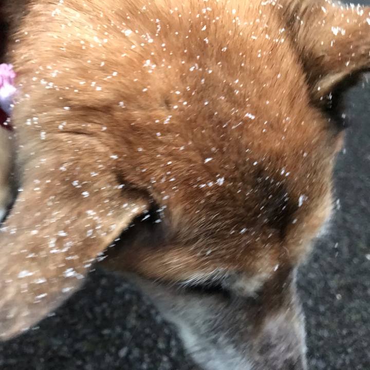 98390419 c112 4121 9614 bfce6e155dc9 1549663272768