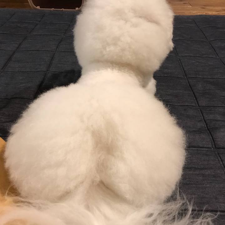 98392315 3c4e 4307 983a 1864dd9f53ab 1530710592435