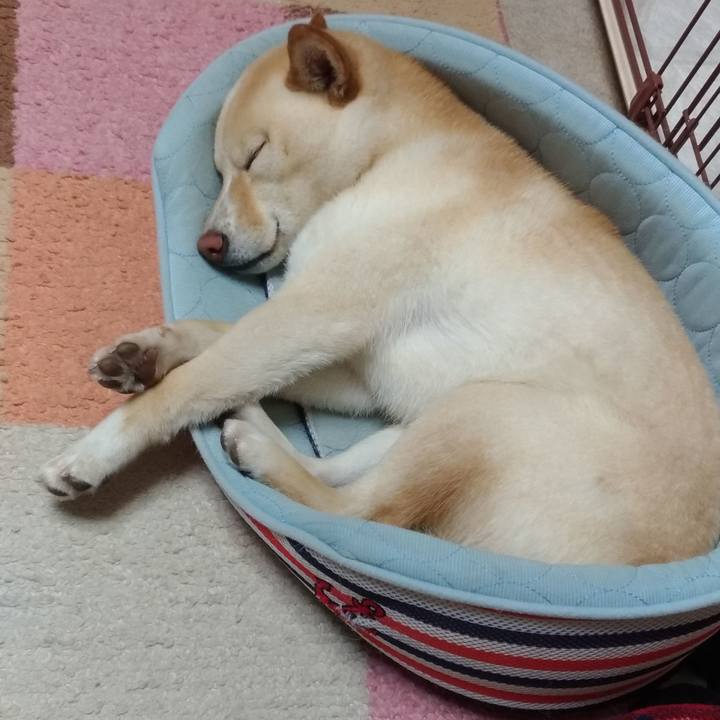 9839468c 3c88 461c 9c42 9352384ba07f 1558185671062