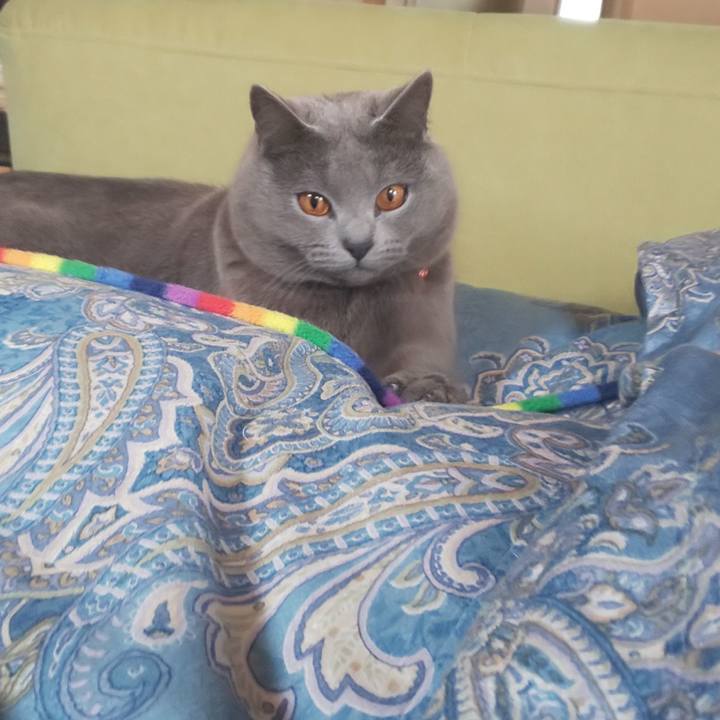 98395b95 9909 4bb0 8935 1326a55f3ec3 1554095762319