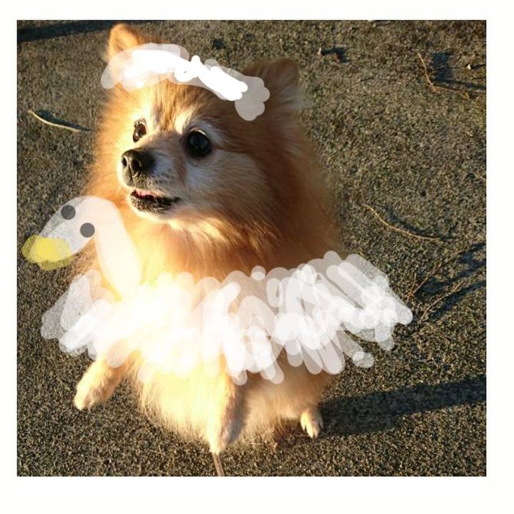 983977fa 802b 4bd3 8627 5395dc95c4c0 1518819037882