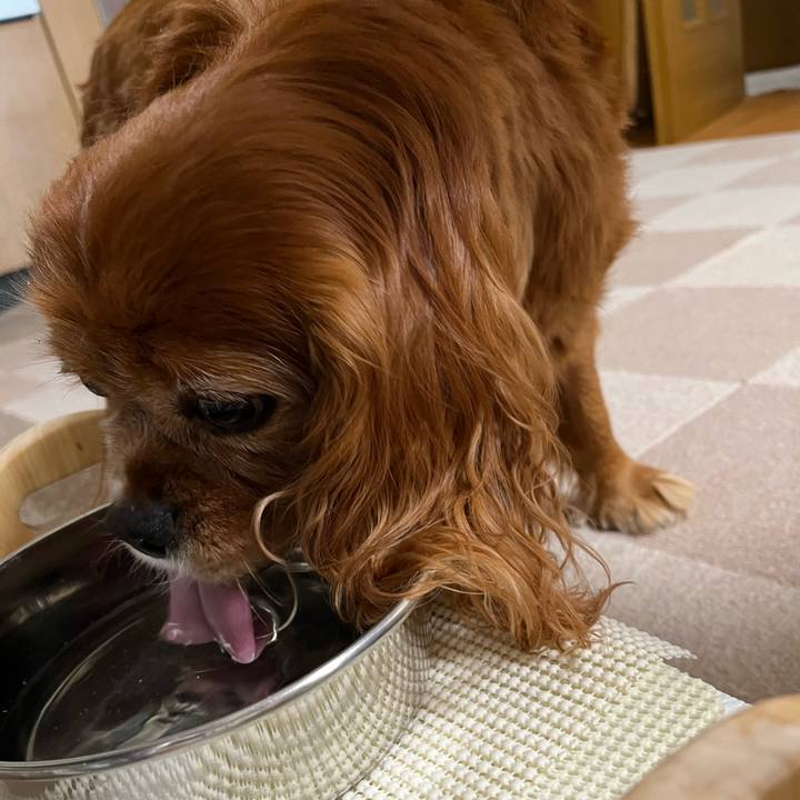 98398774 850b 4e8c a7e6 6ce5d54865fc 1720652745115