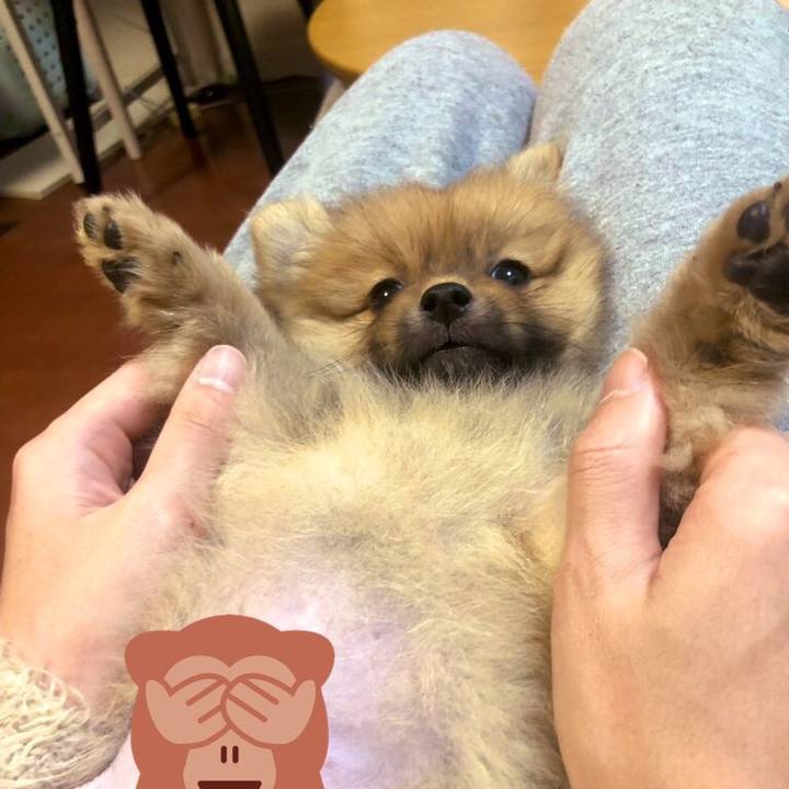 9839ca38 6cc2 4de6 8362 ba716ac9cc83 1573443193394