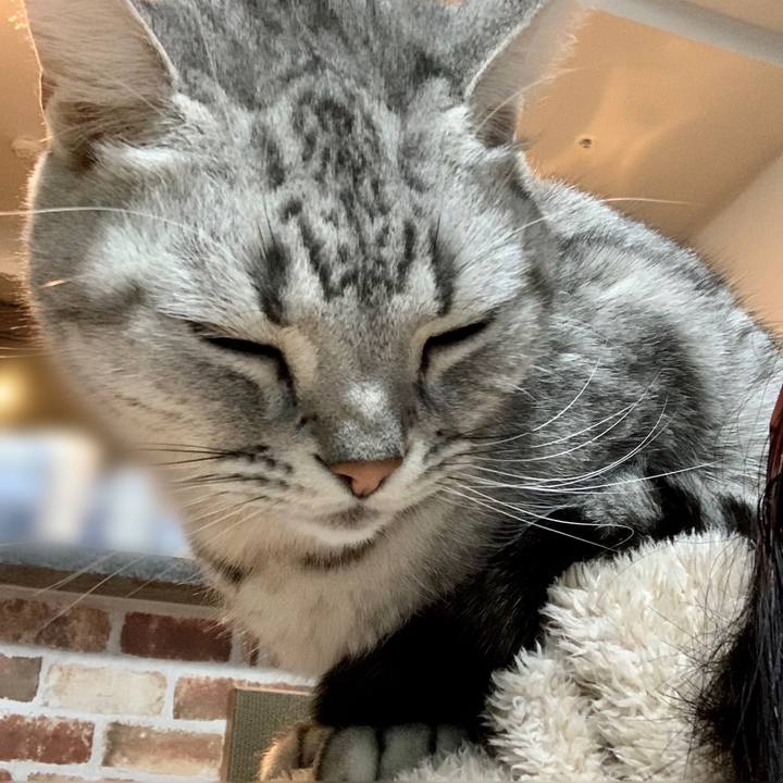 9839e280 5f52 4042 908d a2df4358764d 1642034369682