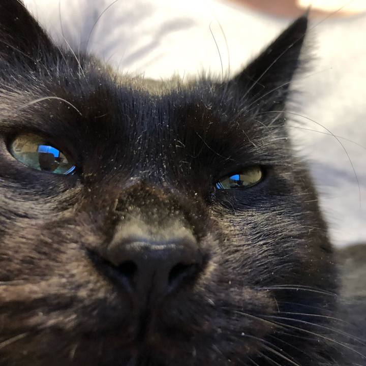 9839fed8 60c6 49a6 8b71 14d875c9876f 1576276644465