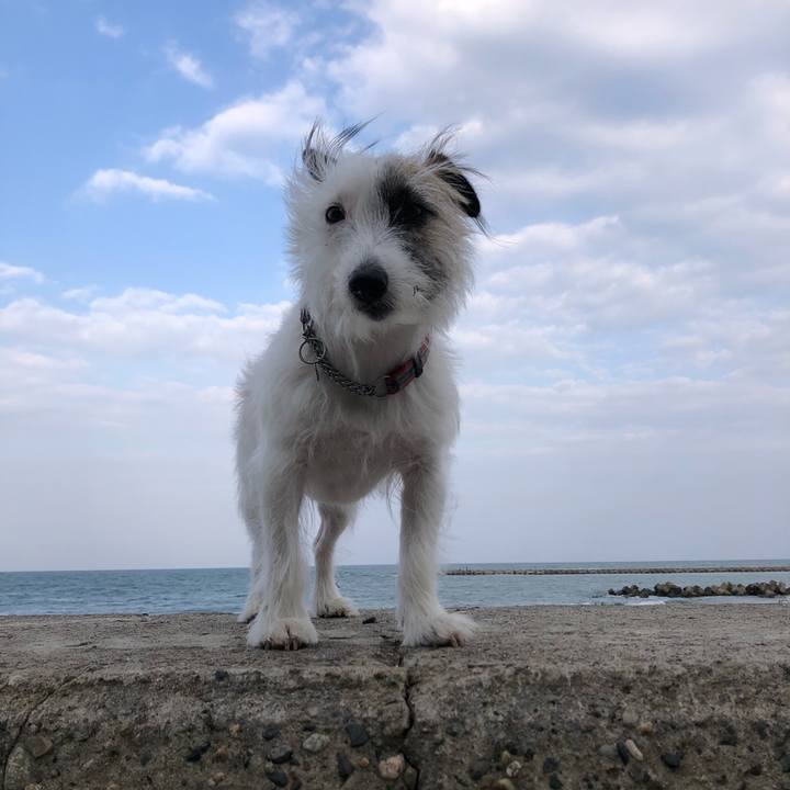 983a0b31 3f7d 43d9 a460 da39f73e836b 1604790389680