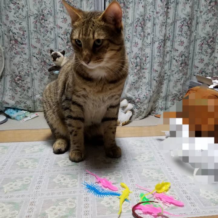 983a8494 c6fe 41dc a363 1ed42226358b 1599734883950