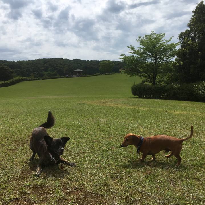 983a99cb 3ce7 44a6 a2f8 a6fd965b4f7d 1528502423818