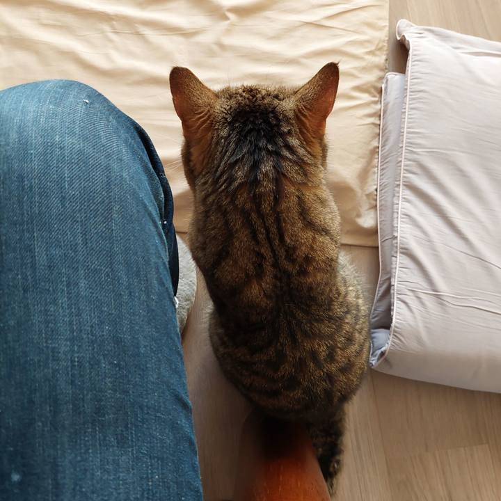 983a9ecd 0c3a 495e 8884 a264b1a4cc63 1637967252295