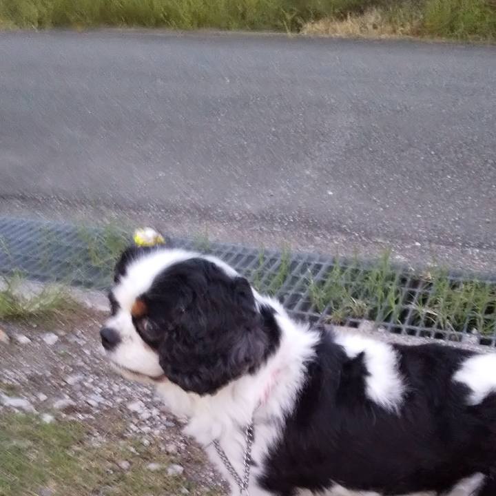 983aa03f a571 4ab0 9bef 4ff34b46bbf8 1600173453008