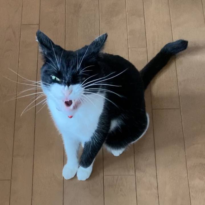 983aa489 05d7 41e9 a4e5 aca17cf275fa 1625040982692