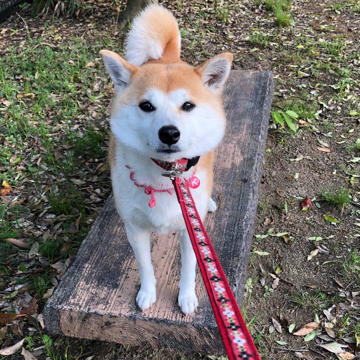 983b494b 7df9 44b9 a69e 6301531af4a2 1555721069291