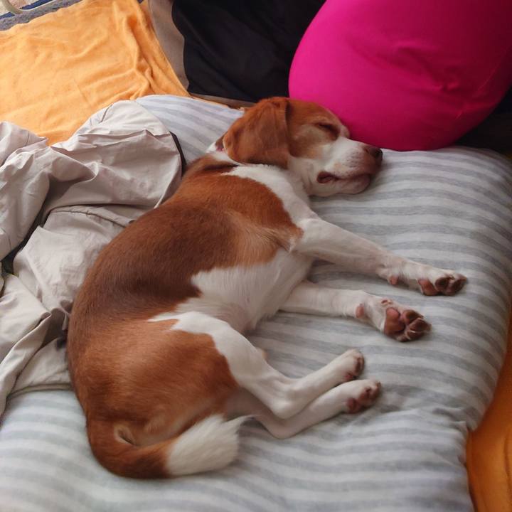 983b648f 742c 44e2 9575 37be8a3673f3 1661991844606