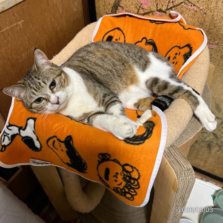 983b64a3 8861 4b8a 85f6 1923bd72bdfa 1772489350504