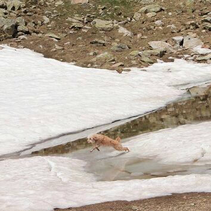 983b6ab9 da51 4aea 8169 ea6791abd926 1561646897214