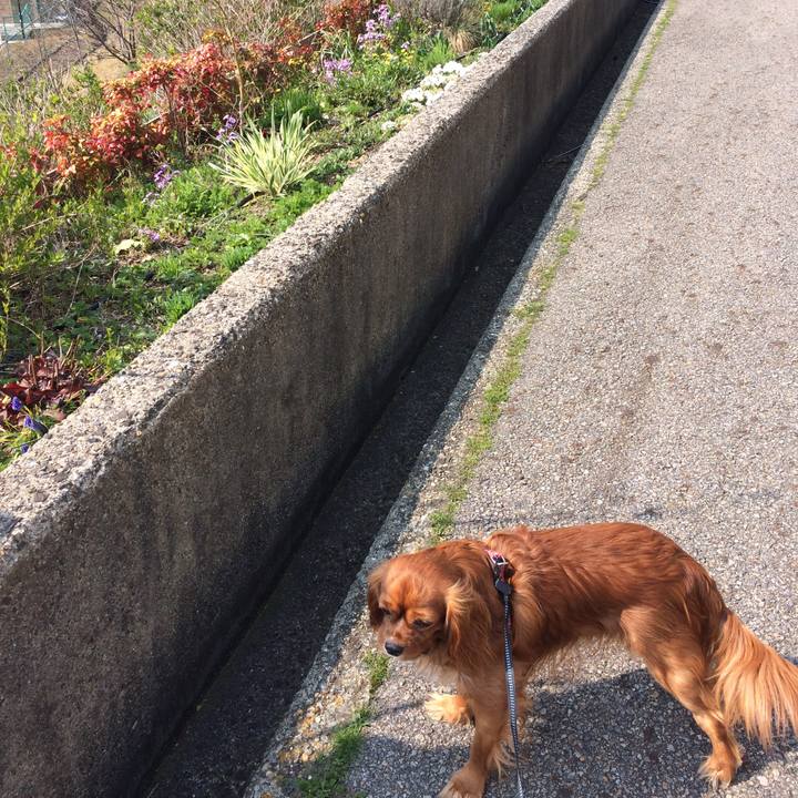 983bf5cc 1c8c 45eb a4b1 a6083670d502 1522273965223