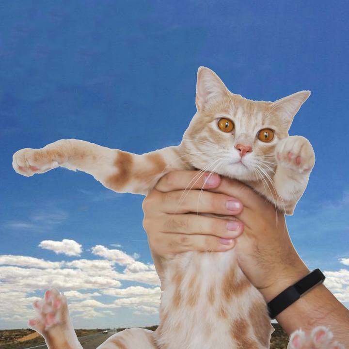 983bf898 8827 47ff 904e 517d62ffb040 1564801823983