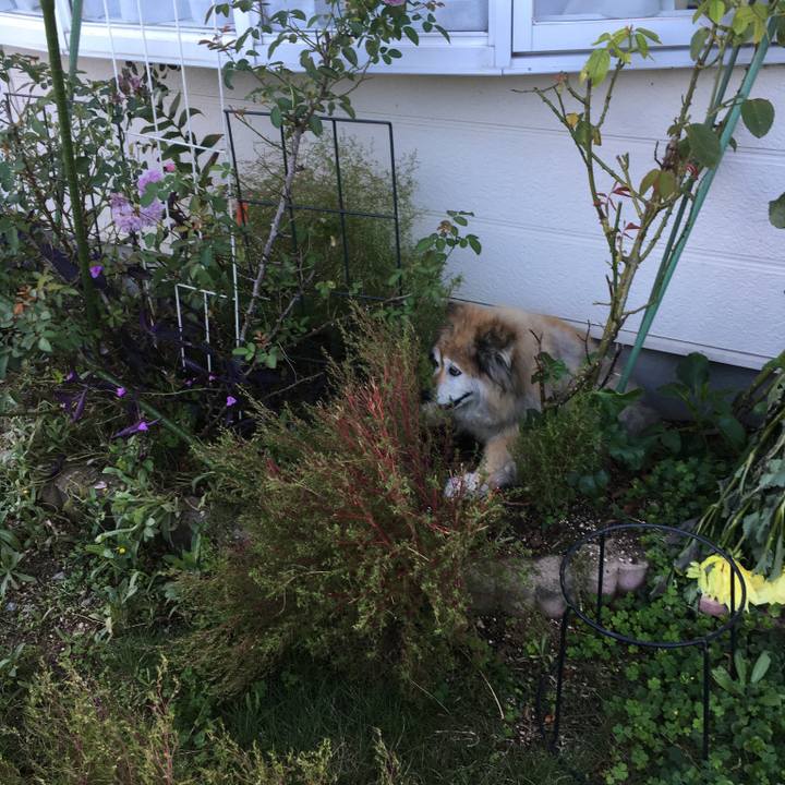 983bfec0 9a12 4048 abbf 33f30605d750 1614304372109