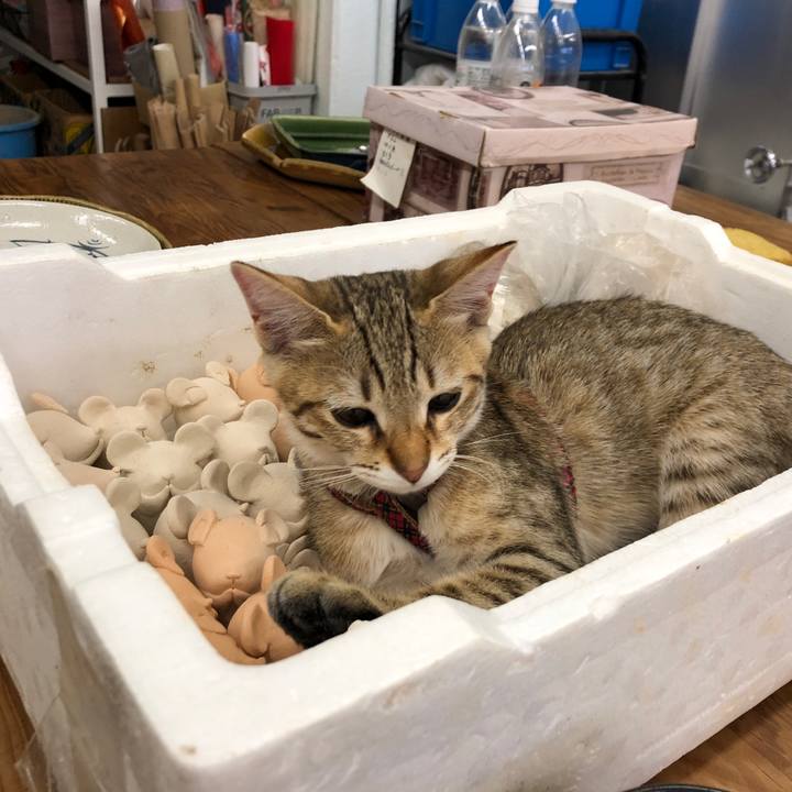 983c0255 cfaa 4e4d a7b6 8f02718ffb26 1577709174426