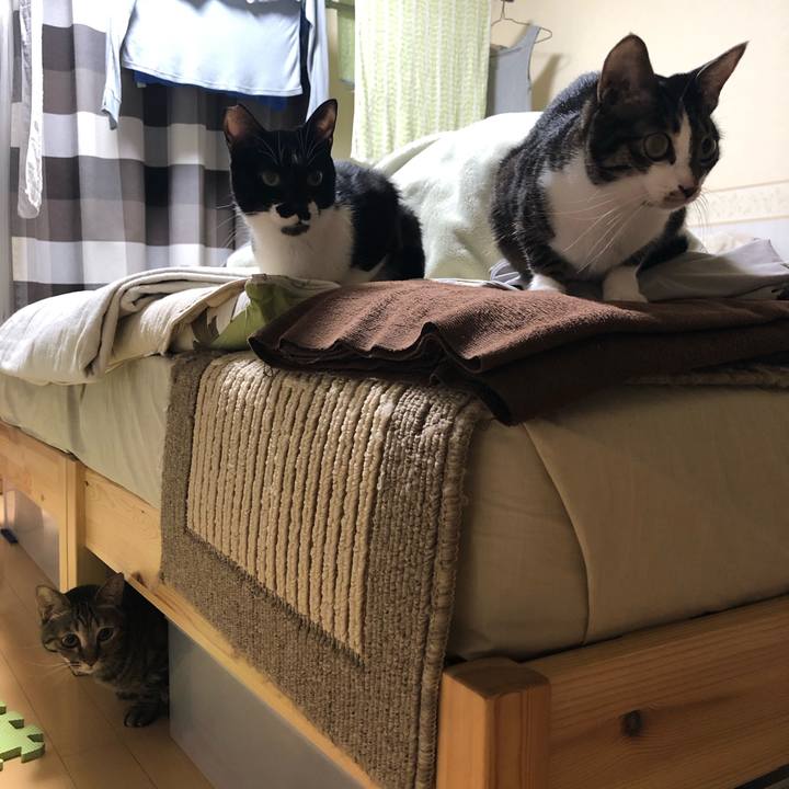 983c398d 146e 4267 ad87 26ab096a20ed 1571675232770