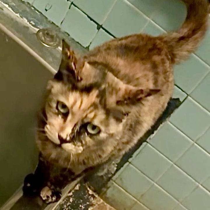 983c40bd 81cf 4d58 abfb a9ec38fa5c79 1745952512026