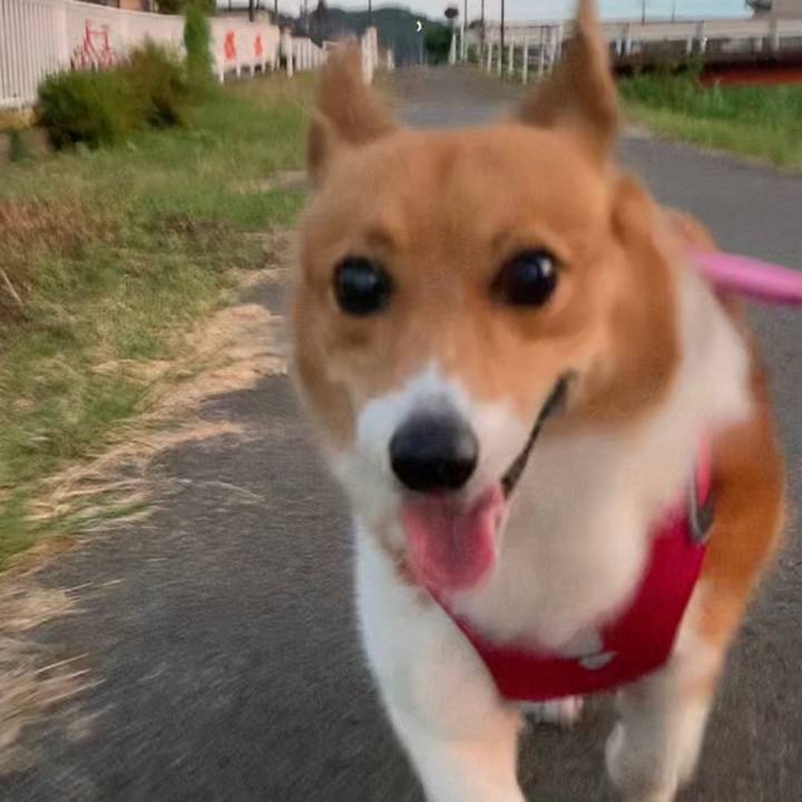 983c457a d385 4e9f 841b 26d9f4c5e8a4 1662976945008