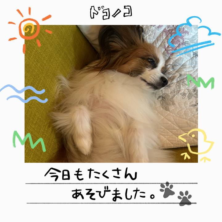 983c72e0 aa09 44bb ac73 dd5c7f70ee2b 1755060693172