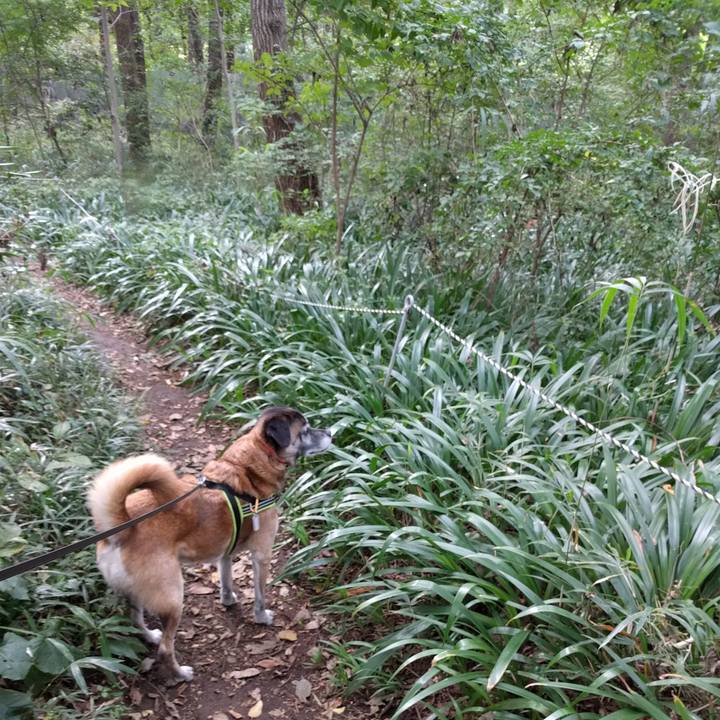 983c73db b020 48d0 b578 493fa041f2a7 1691717229843