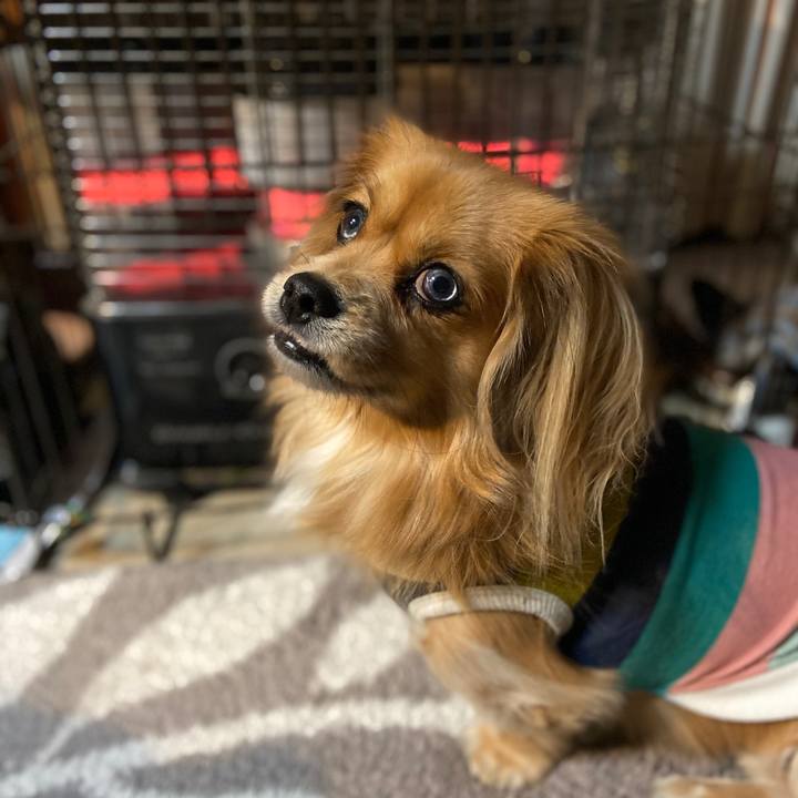 983c81d7 e387 4862 b0f8 612311c13b96 1576272279402