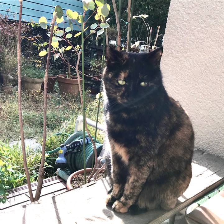 983c8467 e6db 4ccf 929c 08e8ba082f58 1576897946296