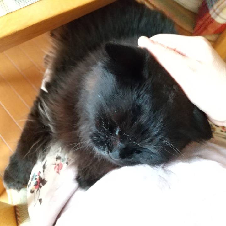 983c8aea 8f0b 40e3 b749 5dd6e155843b 1686523554157