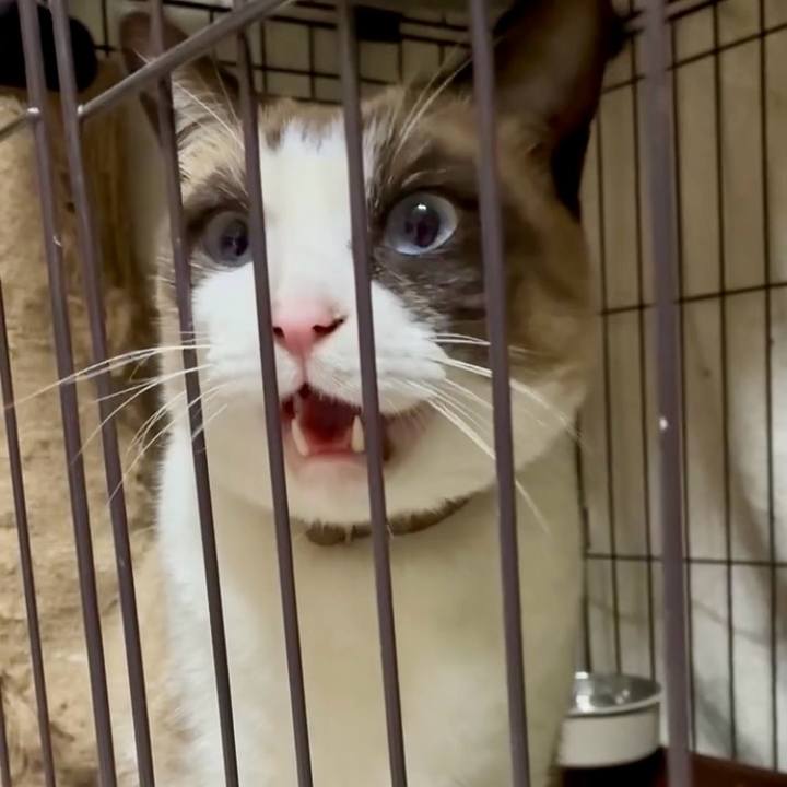 983cab81 9c7d 4557 9cbd b3d03c0a8564 1766234245210