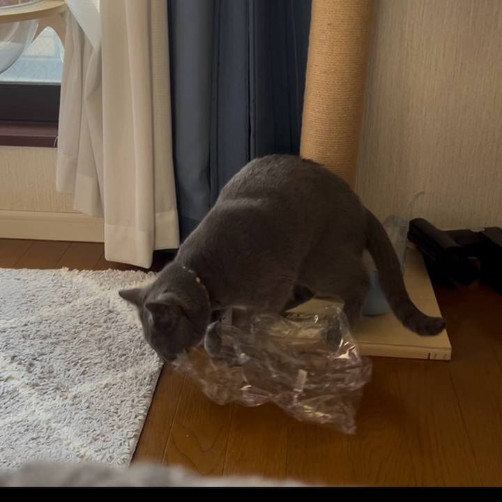 983cb417 49ca 48bb b6cd 1e78b9e9169b 1751244032808