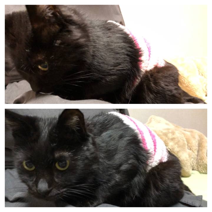 983cbfe4 b118 4fc6 a01c 1057b50a446e 1610462169506