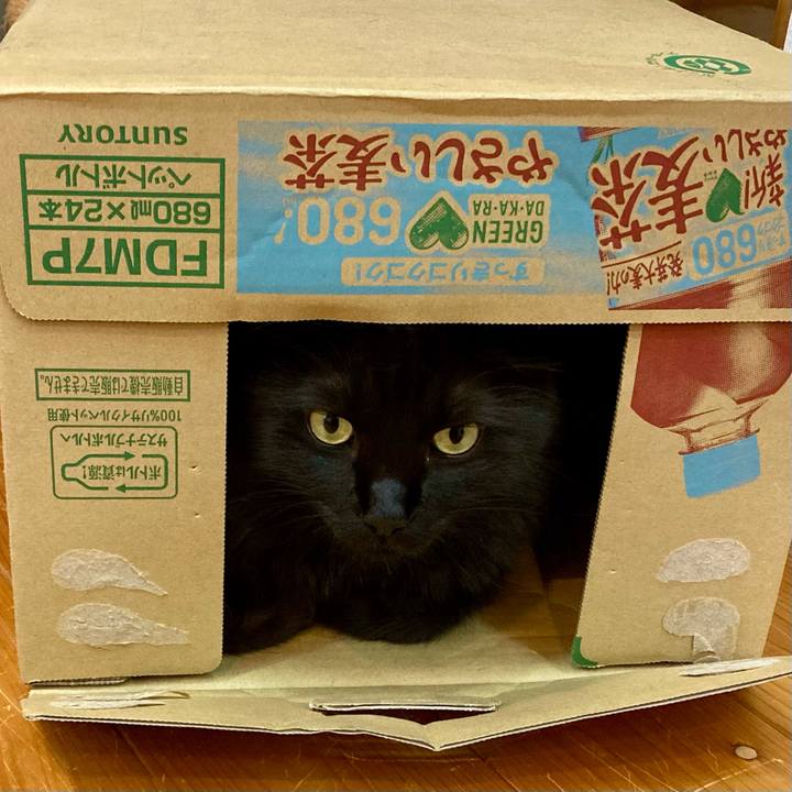 983ce7ee 6b75 4096 9ad7 114d17a98ec6 1754704287367