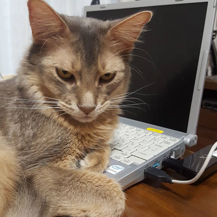 983cf7bd 7c35 47e6 8838 306c75cfbdce 1587650261295