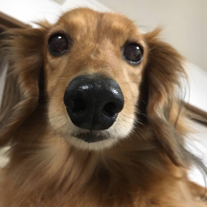 983d0103 c54b 4b14 b107 ebd465768b43 1523606613198