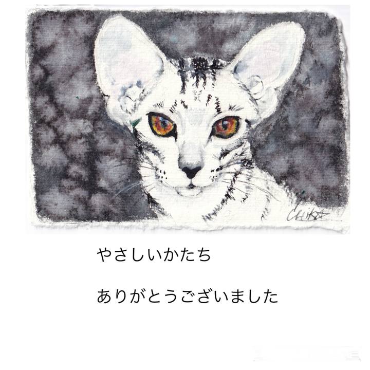 983d3d20 1ce4 4e10 8572 609288f7ca5b 1748701543579