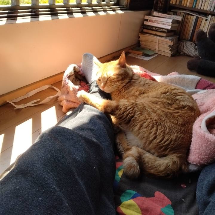 983d9242 2886 43db 8028 dfd4f7f4a632 1680328881242