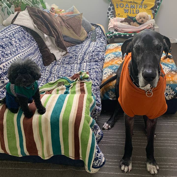 983dab59 f975 415b bfc6 4547f67faa67 1580337319454