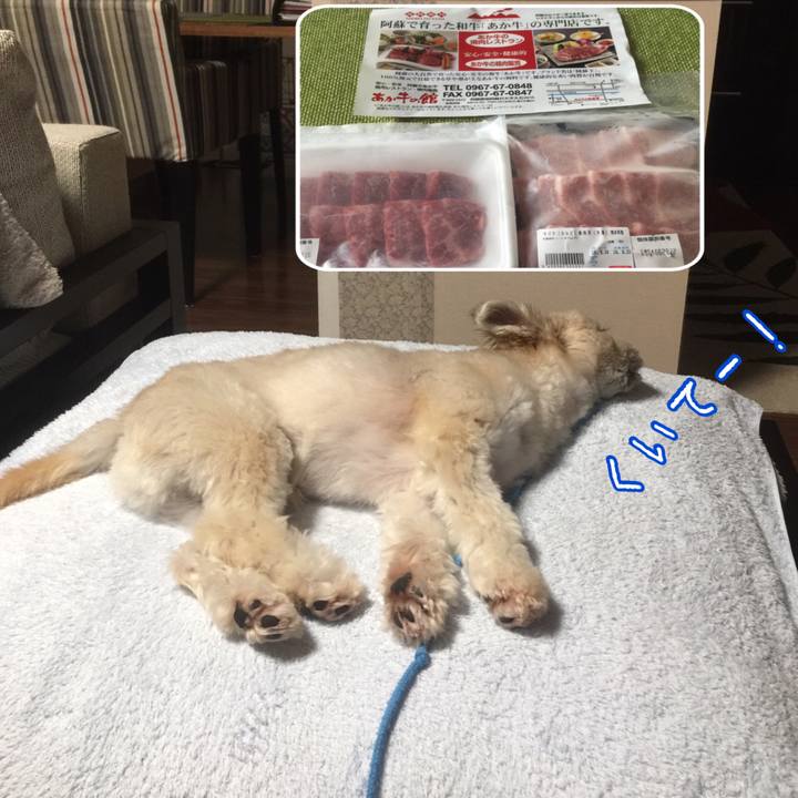 983dbcca b00f 4a3b bcb8 d2586025728f 1535978111124