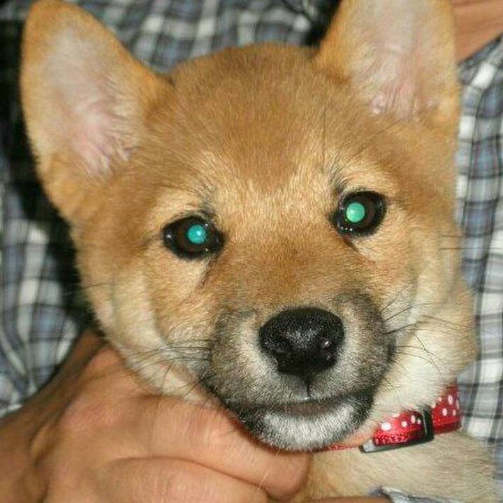 983dc9f1 9359 4eb2 9584 bcbf59e77077 1522234231992