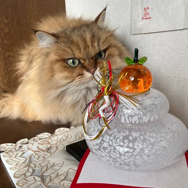 983dcaf0 4ee3 4576 87f3 a630f14bf037 1735819009095