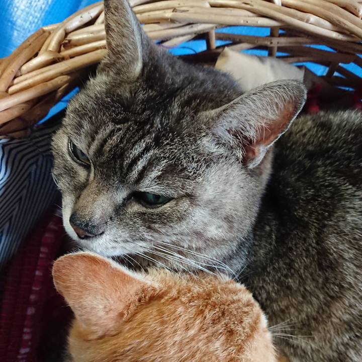 983e1cb1 4a8f 44ae 96b8 b350ef917512 1558861311588