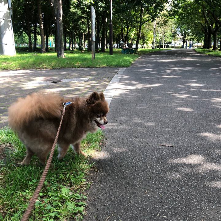 983e53b4 4d25 444c 9db4 28443a2526ef 1630646314500