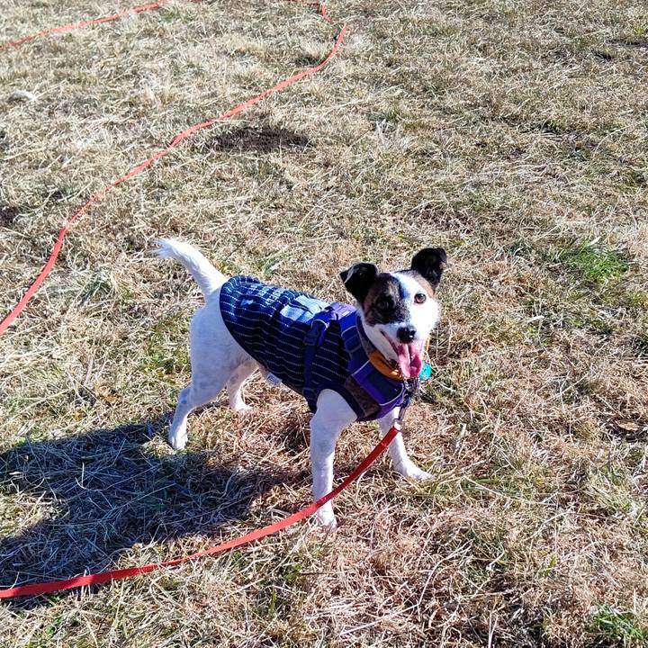 983e7453 1677 4a79 a04a 74188a4501cd 1641723994543