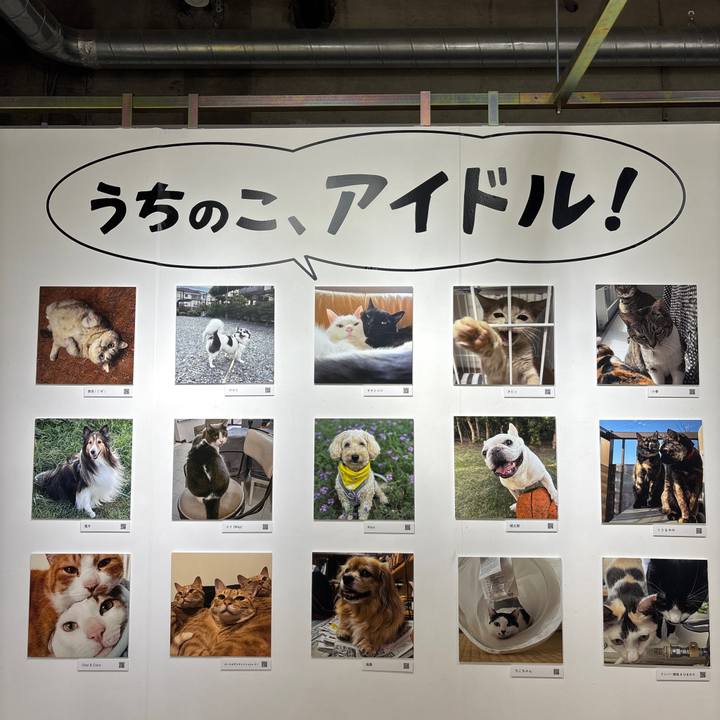 983ed82b 90d5 4b5f 9a6d fee22376fa18 1761640595305