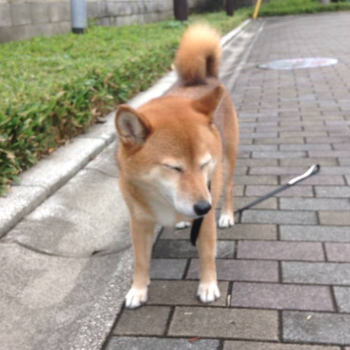 983ede99 7f87 4ae9 8259 e4d3280f4b42 1530926583997