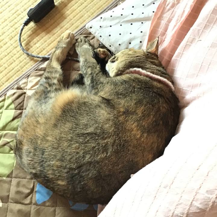 983f0dfb a617 4d1d b87f a3744831b848 1677742089852